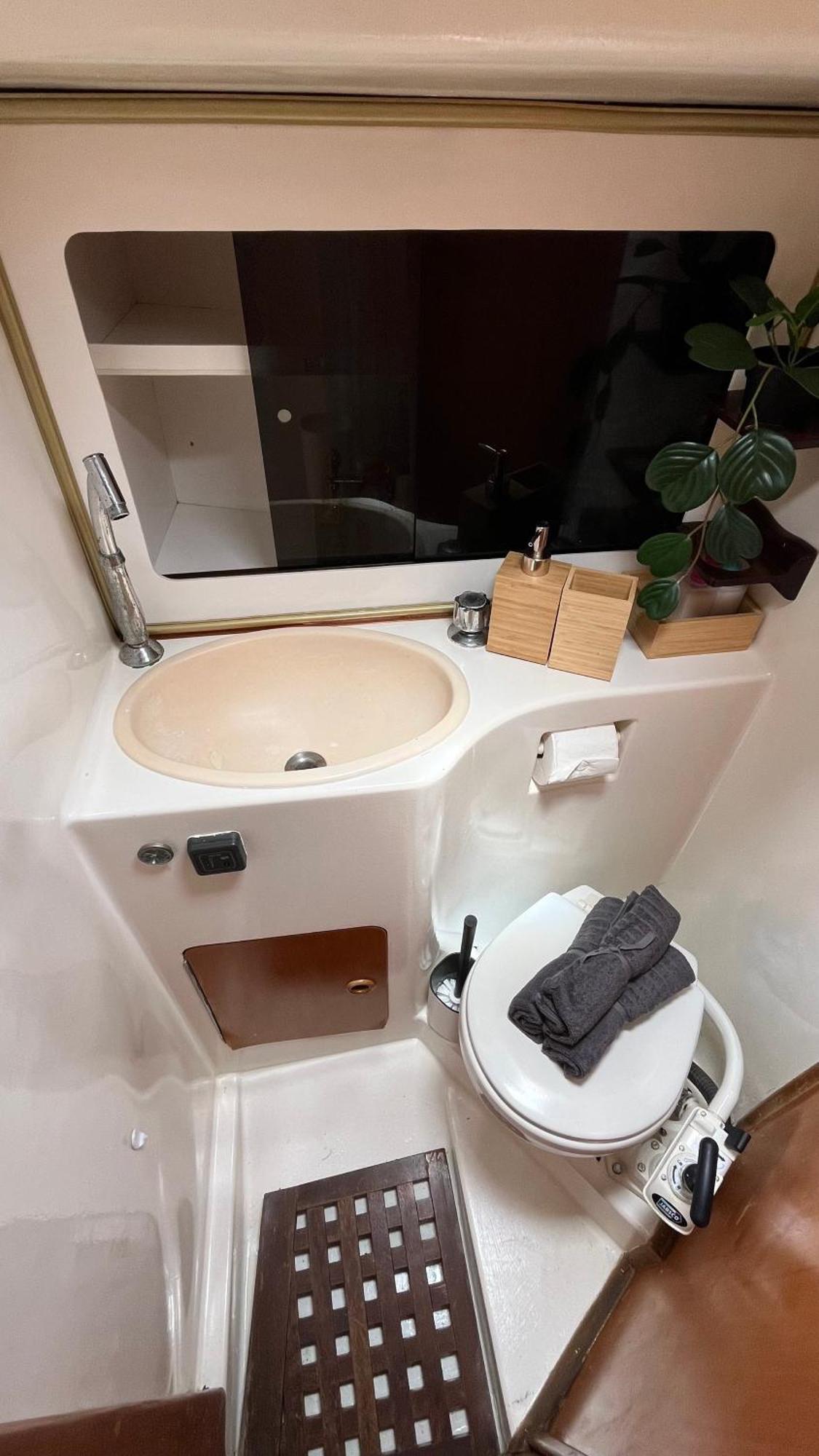Botel Velero Puma 32 *
